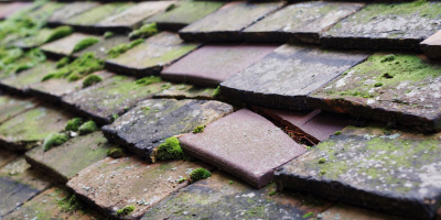 Mitchel Troy roof repair costs